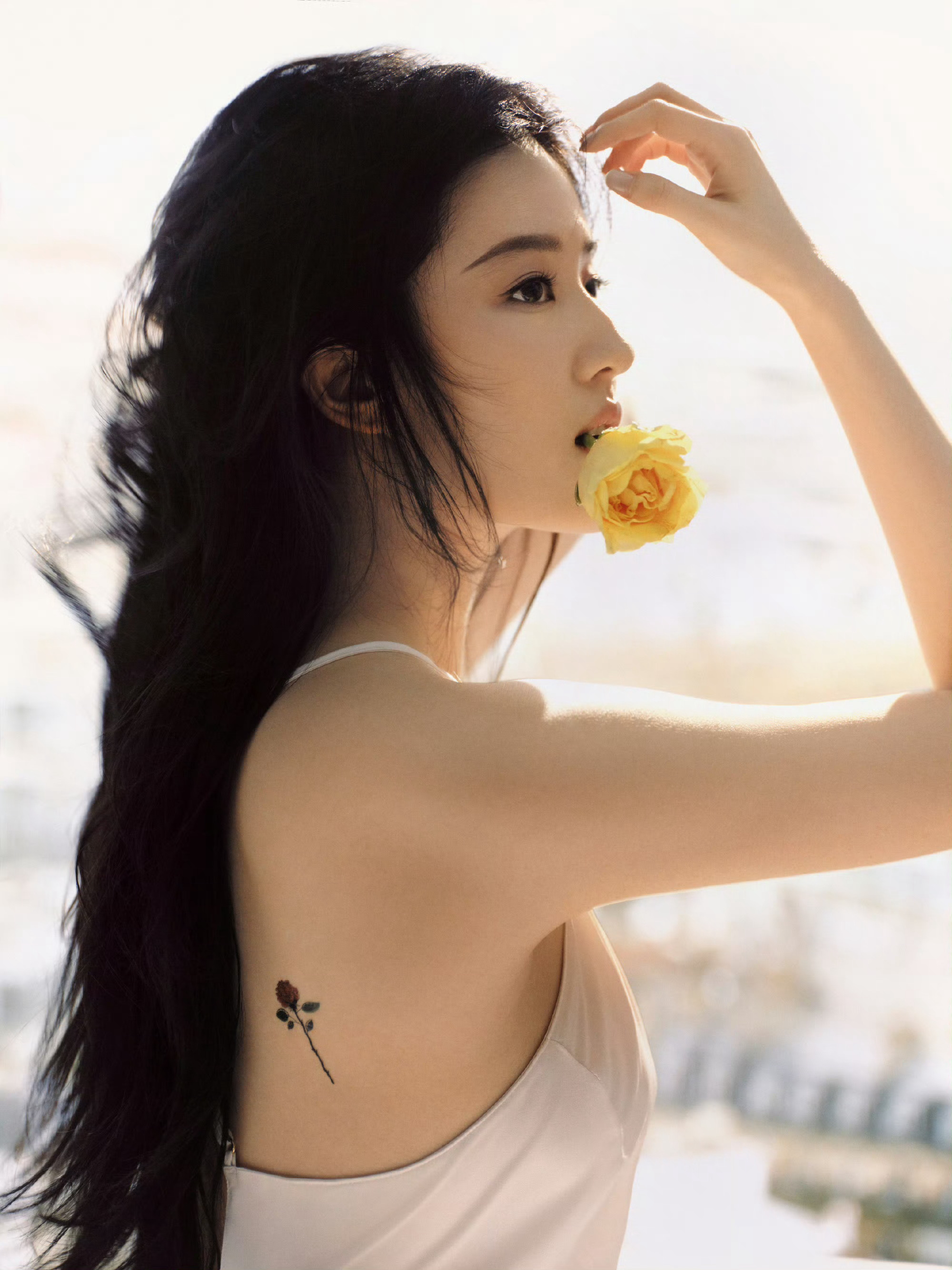 刘亦菲🎂绽放的黄玫瑰 ​​​