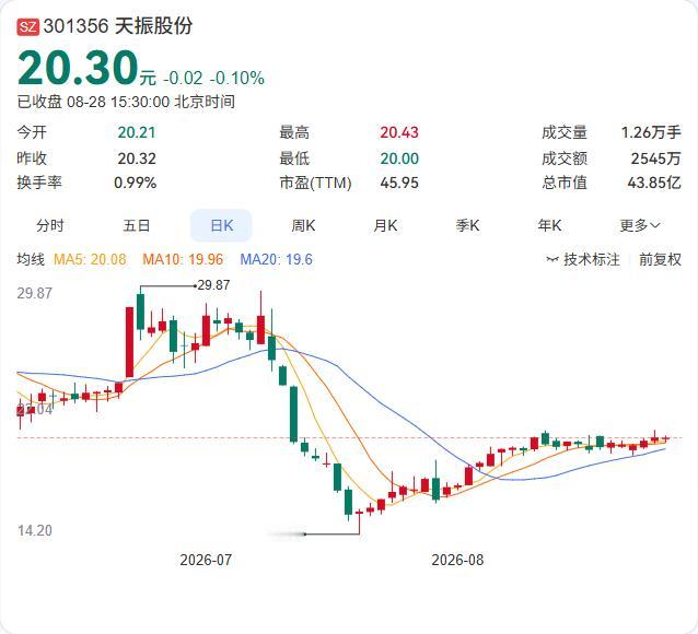 天振股份半年报正式落地：营收7.37亿同比下降7.39%，净利5990.61万，