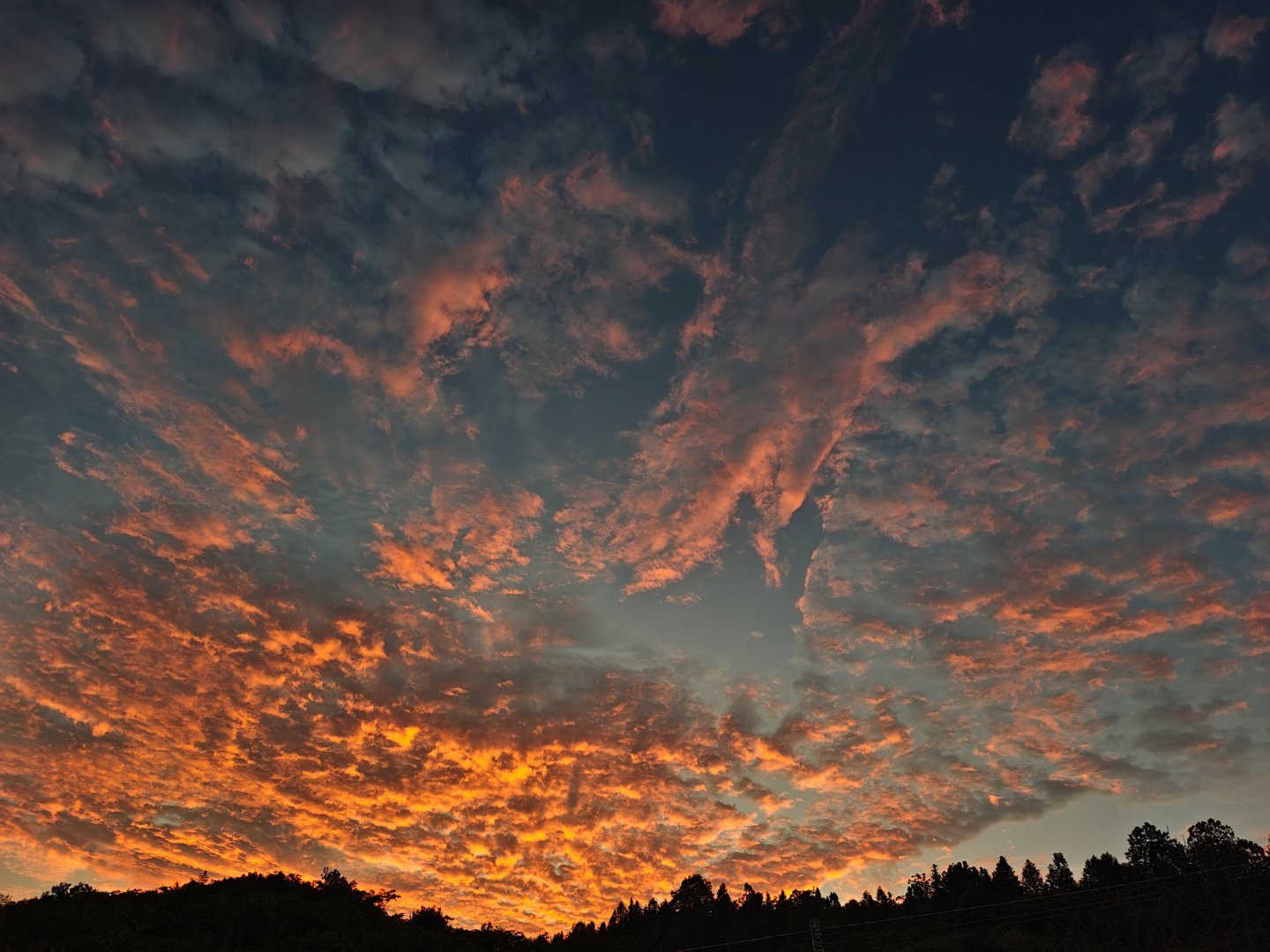 千淘万漉虽辛苦，吹尽狂沙始到金！ 