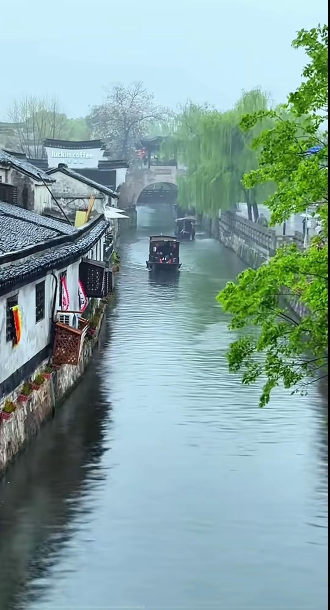 烟雨轻笼青石巷，乌篷摇过旧时光 🌿🚤
