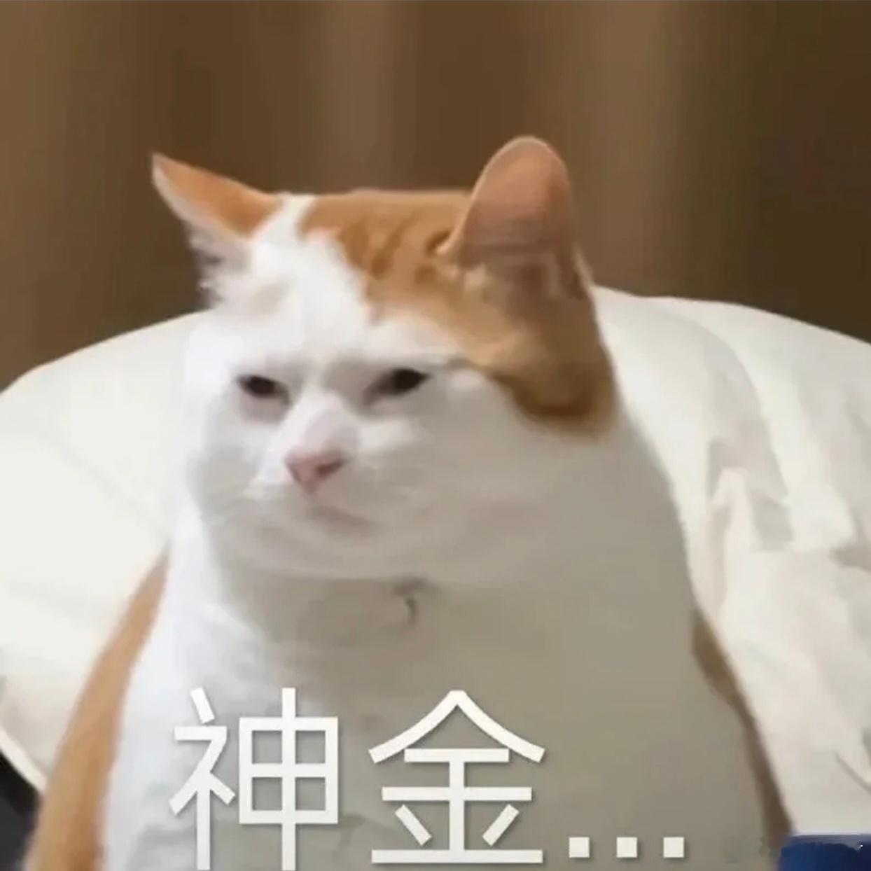 李行亮只争女儿抚养权 纯路人哈，我就想说，拍个节目，一定要在开车的时候吵架吗？能