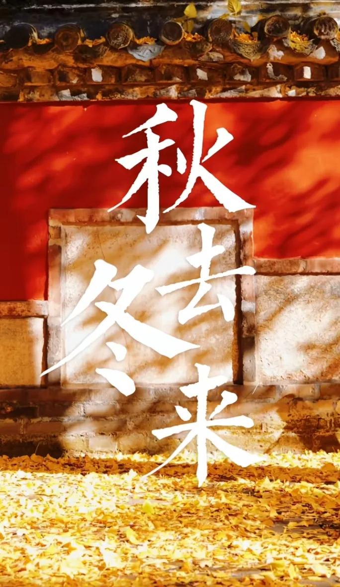 秋去冬来落叶成诗一切美好不期而遇
宇辉山东行第三天火热播出
宇辉同行必有所获欢乐