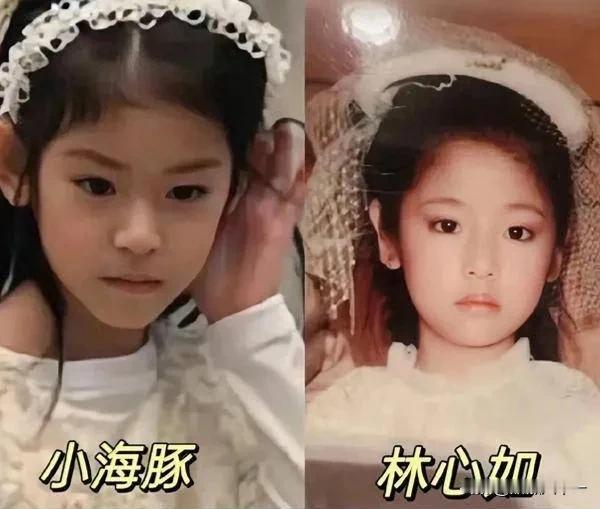 我的妈耶！霍建华闺女也太会遗传了吧，不光完美复刻了妈妈林心如的美貌，就连爸爸的英