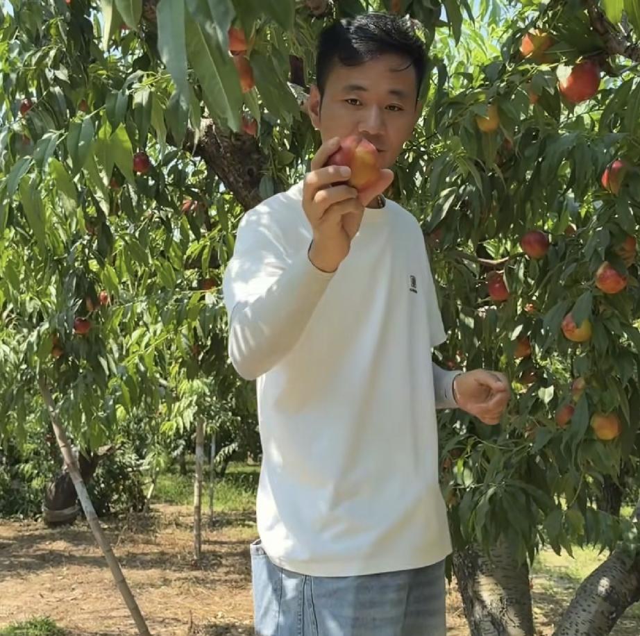 什么录音不录音的厉怀远不在乎
厉怀远宣布明天8点直播顺便做了1件好事

林丽又一
