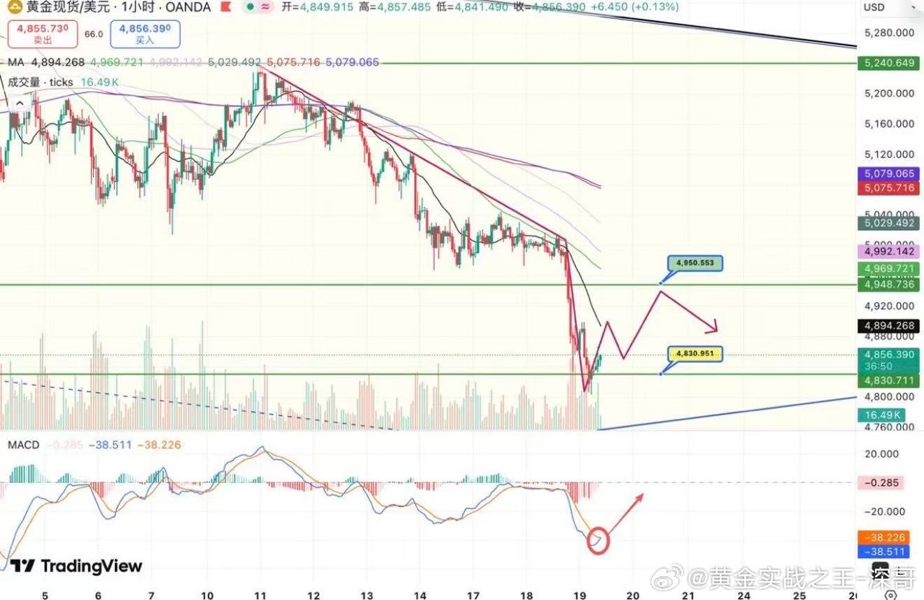 黄金早评：反弹迹象不难预测，压力关注4890和4950昨天（18日）金价跌逾3.
