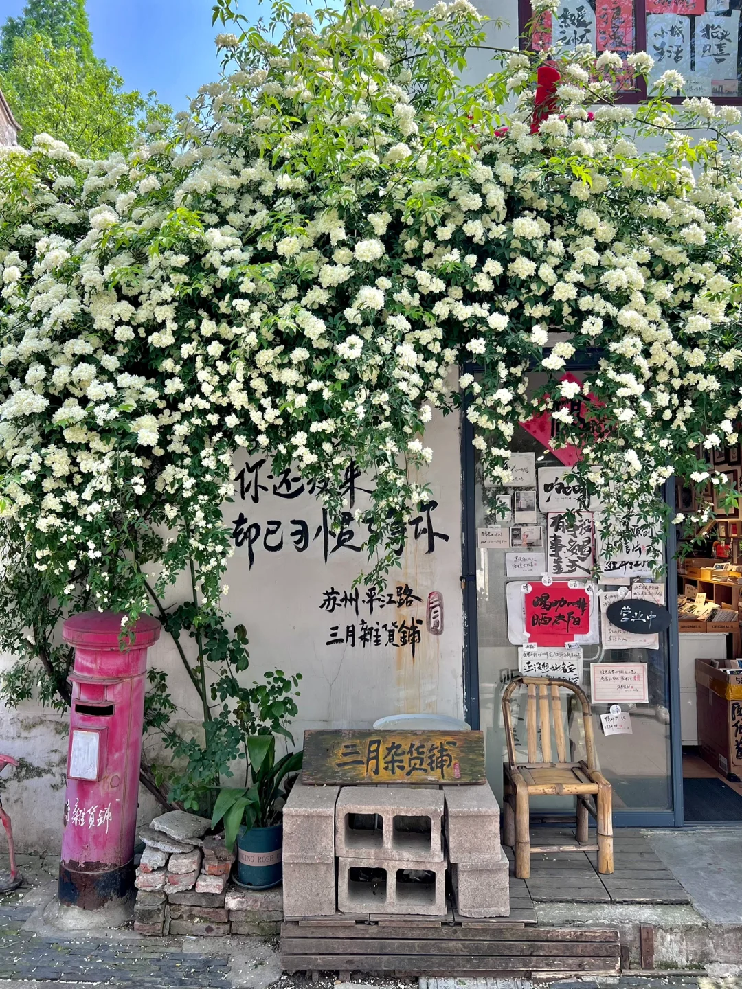 Live🍃四月的苏州是春和景明（附机位