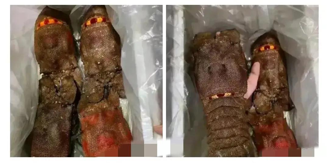 这个物品又难看，谁知道它叫什么的吗？可以吃的吗？#谁见过这种东西# #很怪的东西