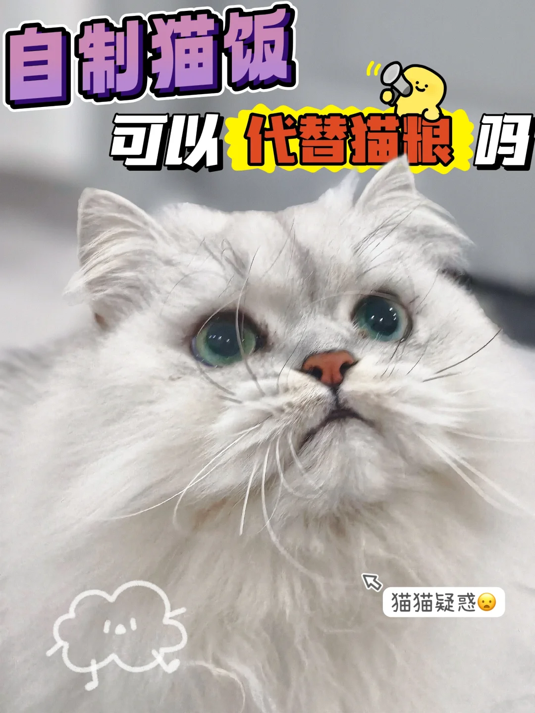 养猫第一问：自制猫饭可以代替猫粮吗