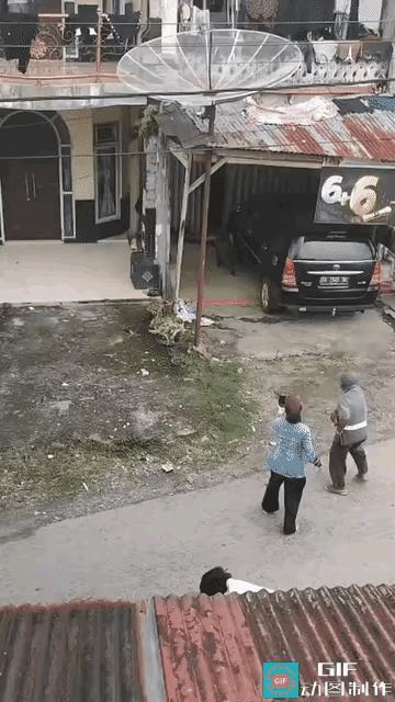野猪🐗太强了，四五个成年人都斗不过一头野猪，现在野猪还是不是野生保护动物了，为