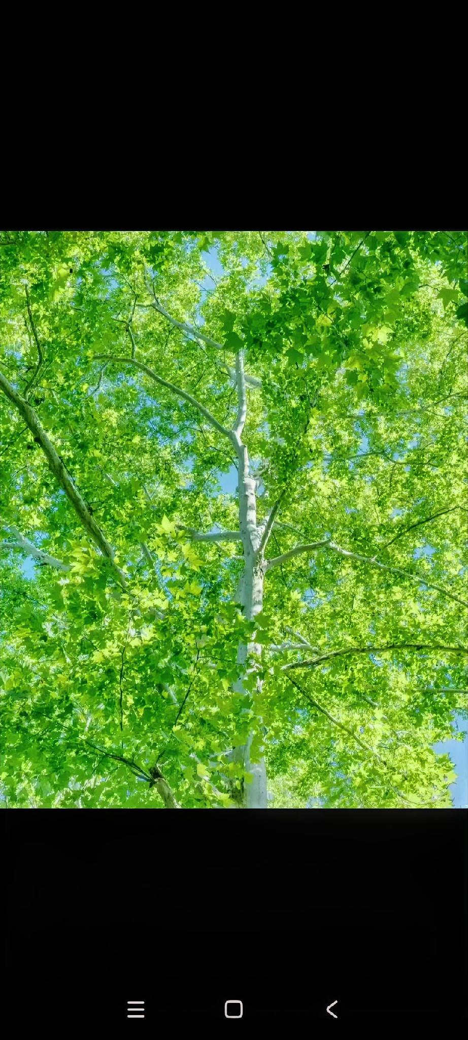 总拿没准备好当借口，我靠每天写点什么完成自我翻盘。
 
说实话，以前的我，是典型