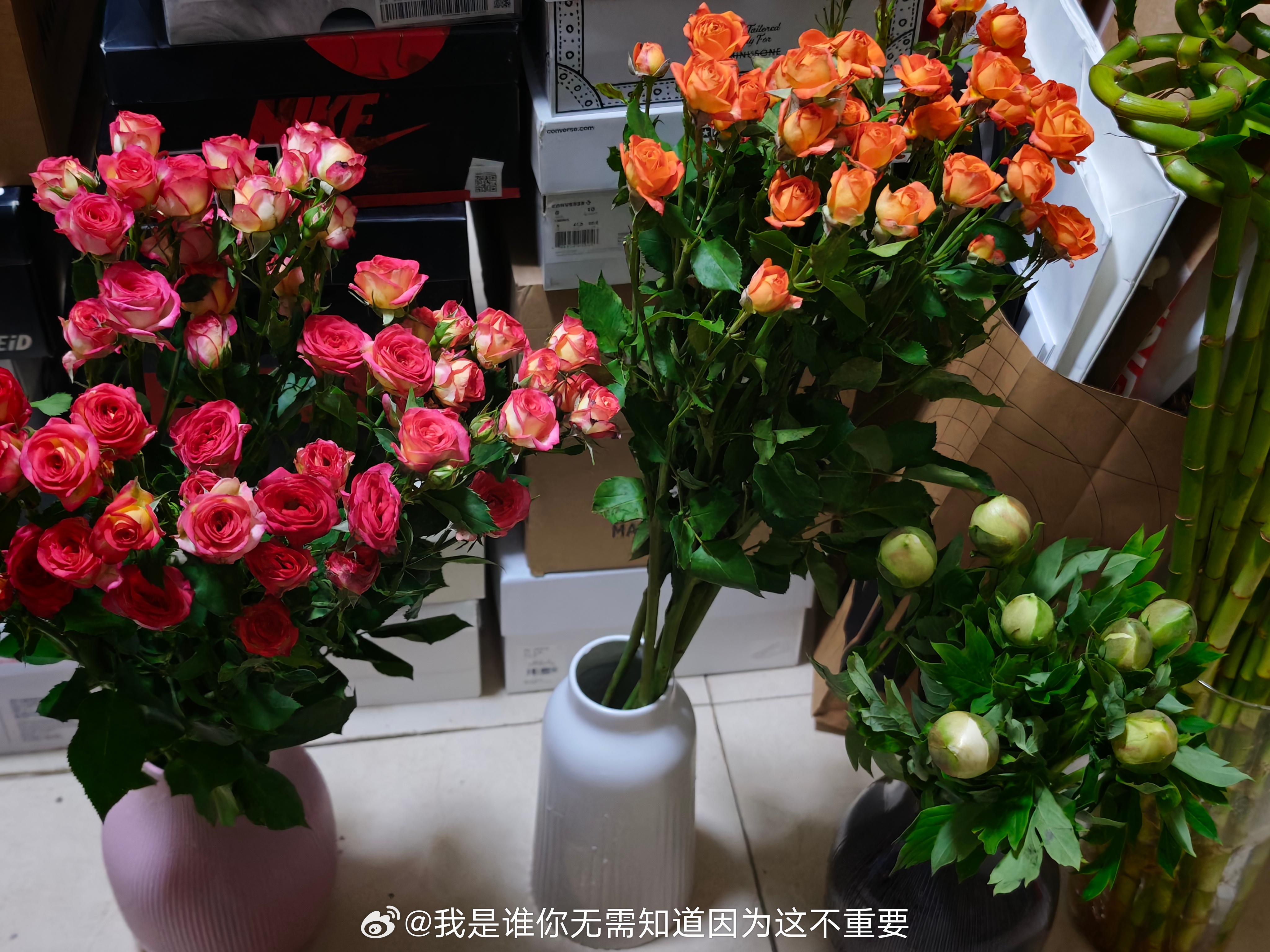 虽然这次没去昆明但是斗南花市的花到了 