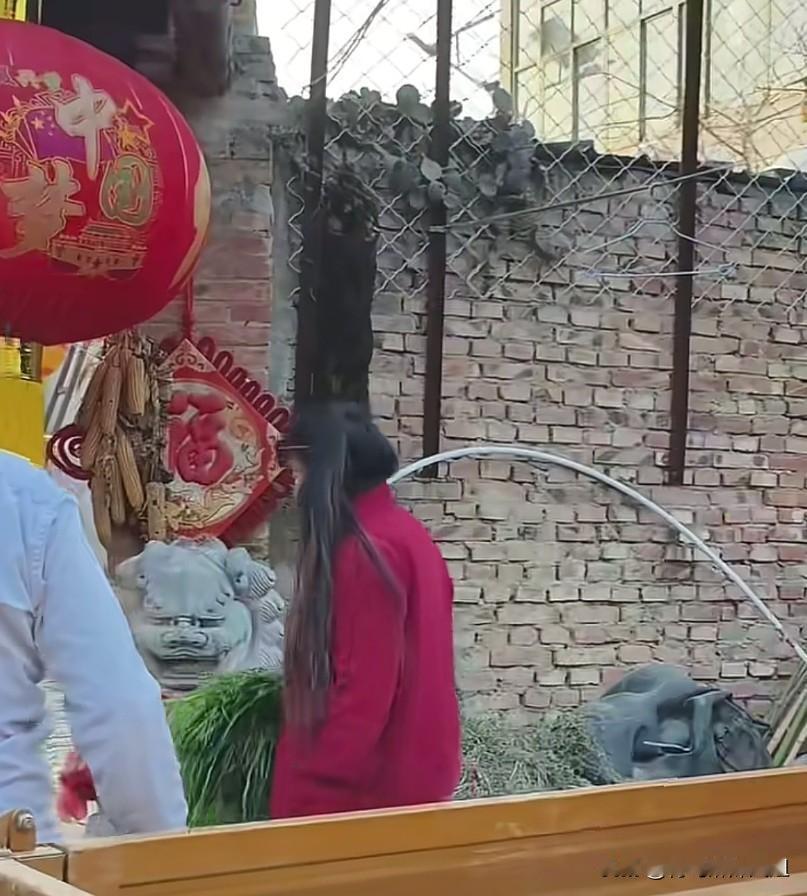 全网热议作秀又如何？大衣哥褪去明星光环，回乡务农陪妻投喂兔子。
褪去舞台光环的大