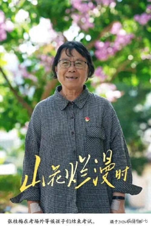 宋佳凭张桂梅一角拿三大奖，获奖引争议