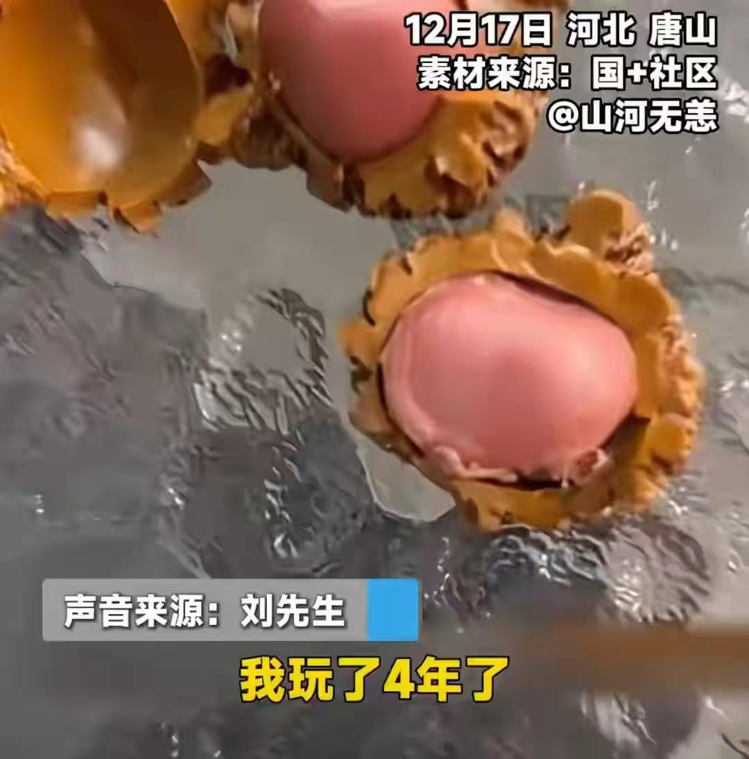 真的又好笑又心疼！河北唐山这位大哥，花150块买的文玩核桃，踏踏实实盘了整整四年