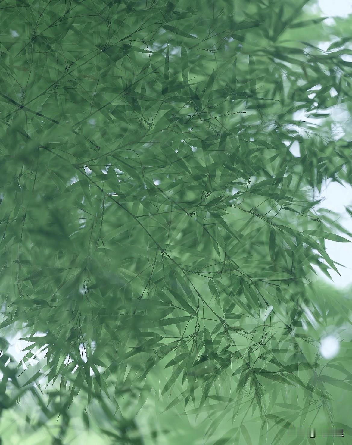人有时候，会突然有一种孤独感袭来，让人喘不过气，好像突然离开，消失，也不会带来什