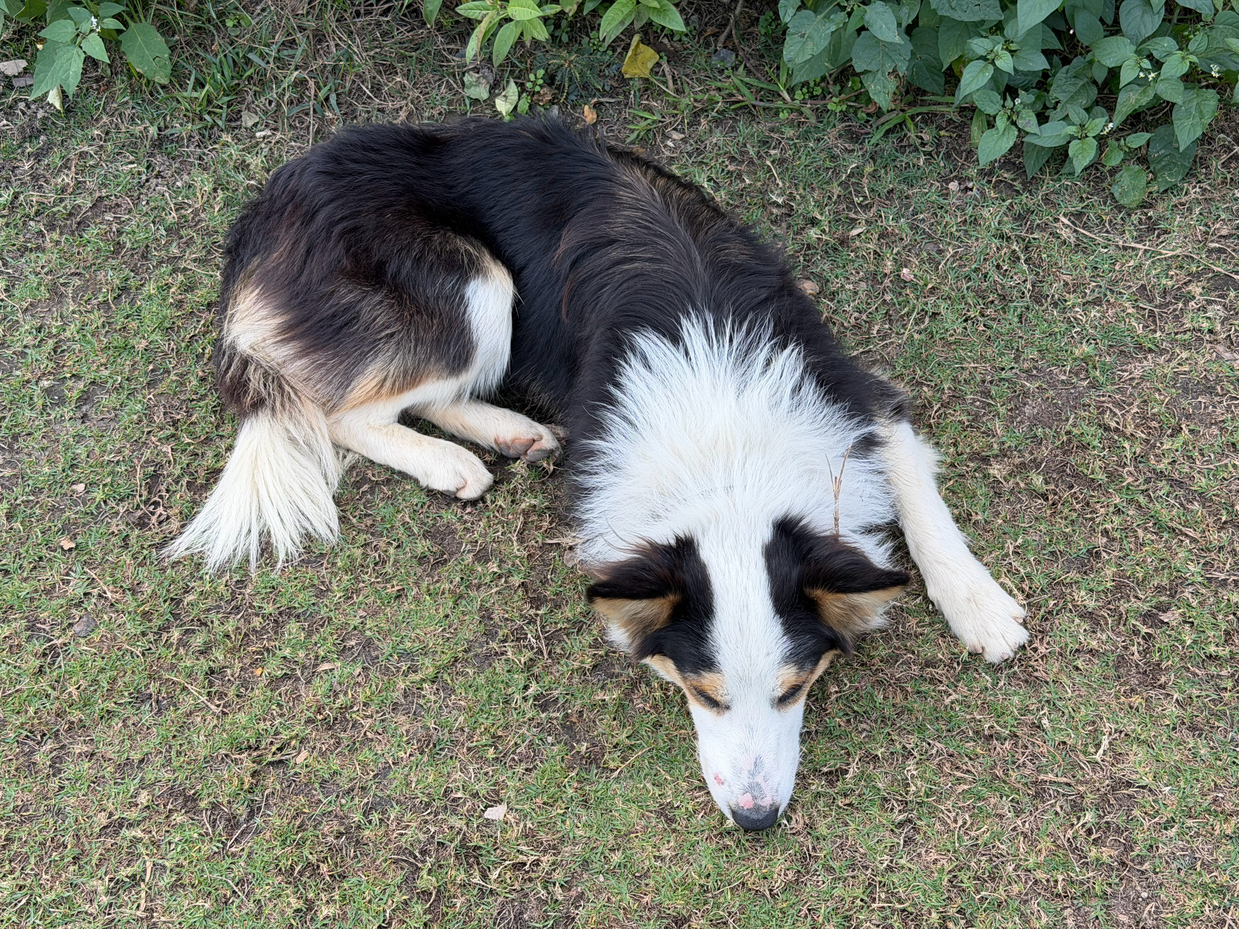 上面 iPhone 17 Pro Max下面 小米 17 Ultra谁更强？ 