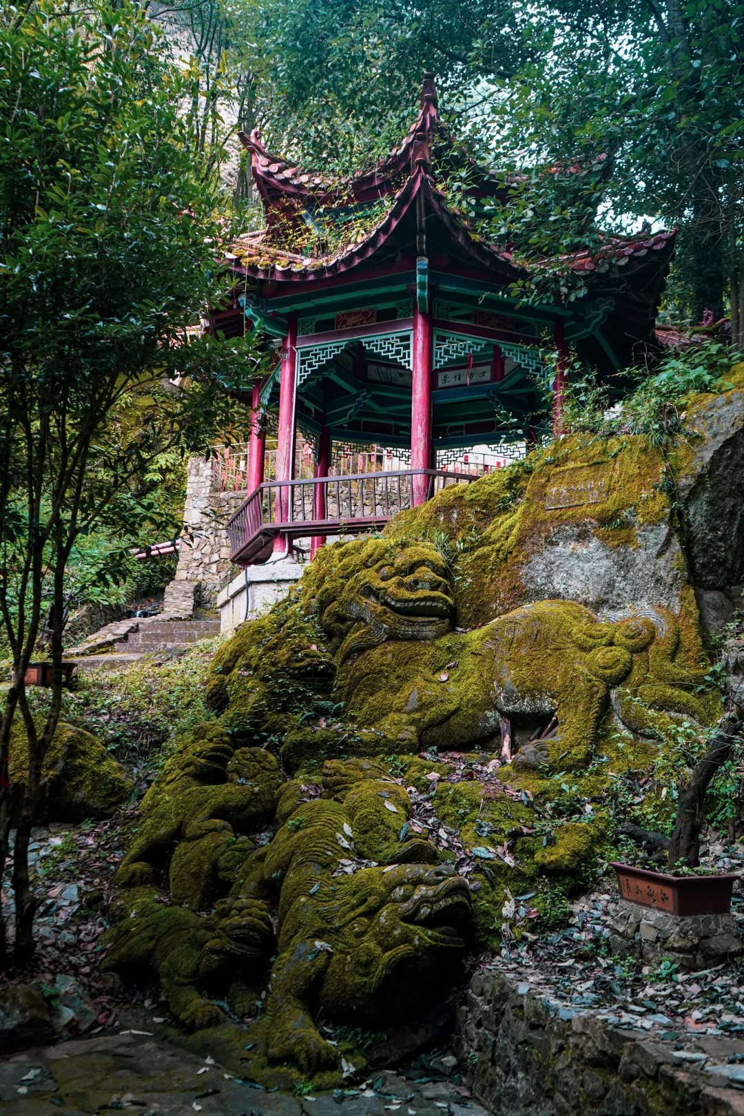 大理周边2h，徐霞客都爱的宝藏千狮秘境