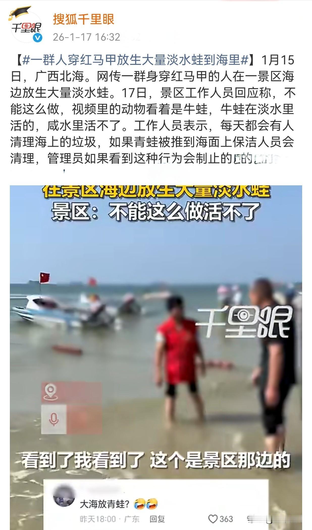 “爱心团体”26年1月15日向海中放生大量淡水牛蛙，牛蛙谢谢你们爱心❤
1月15