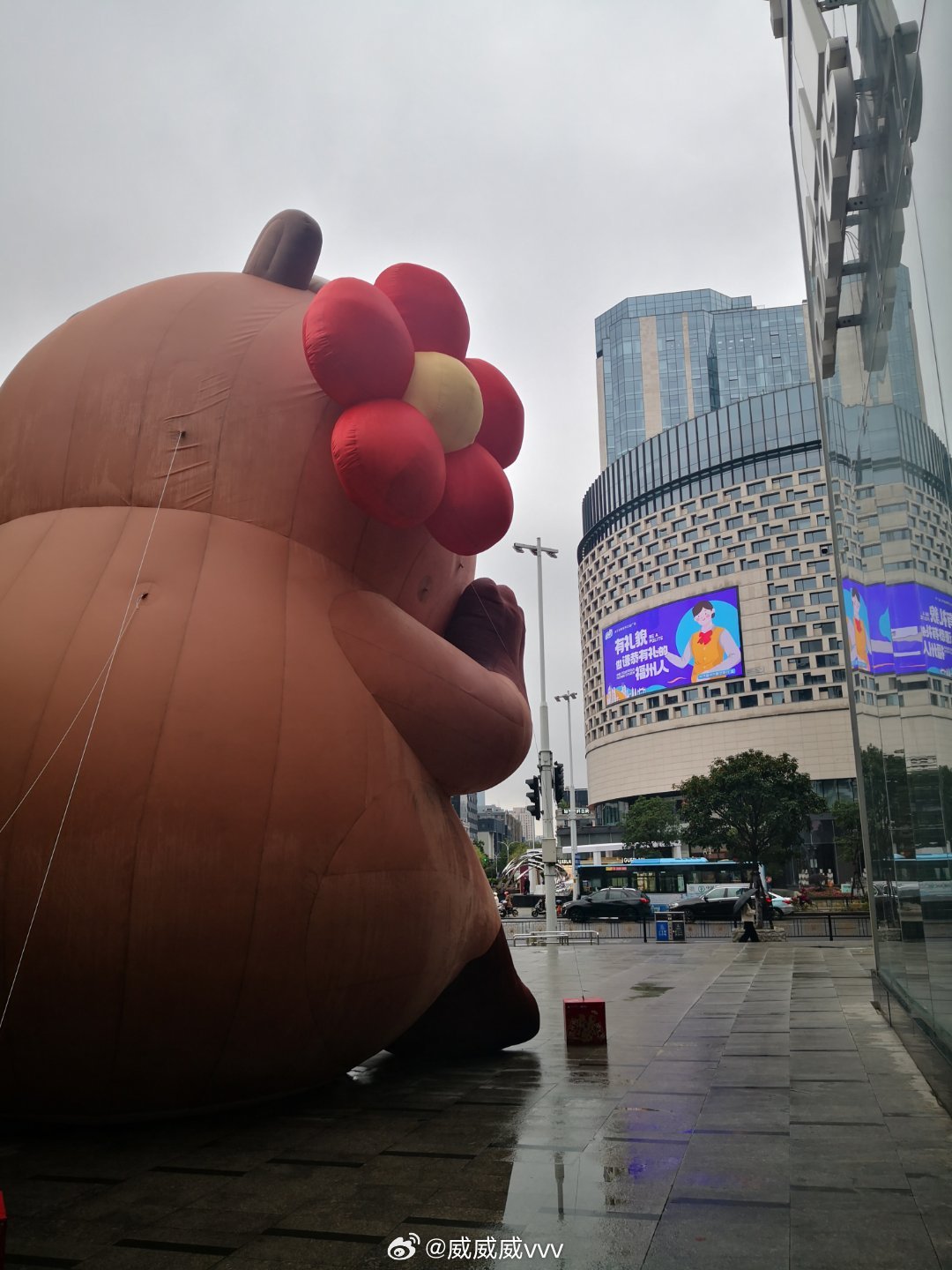 普遍感受是调了十来天，调的久后面也拉的久。会有雨过天晴的那一天。  ​​​