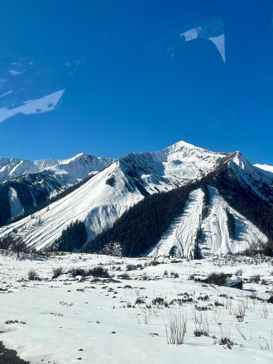 3.14 📍川西已回，live实况直出，劝退不了