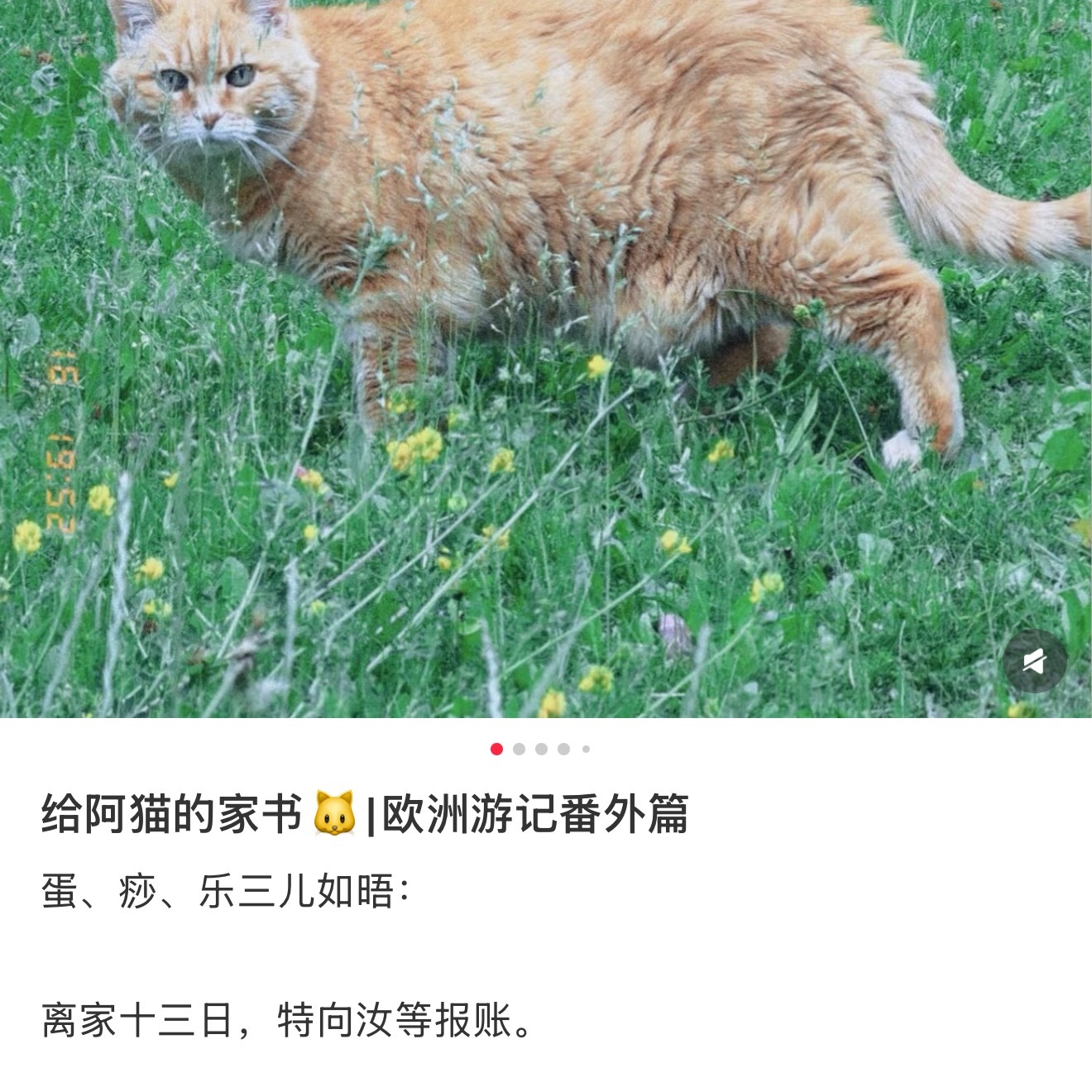 哎哟蒲熠星，心软软