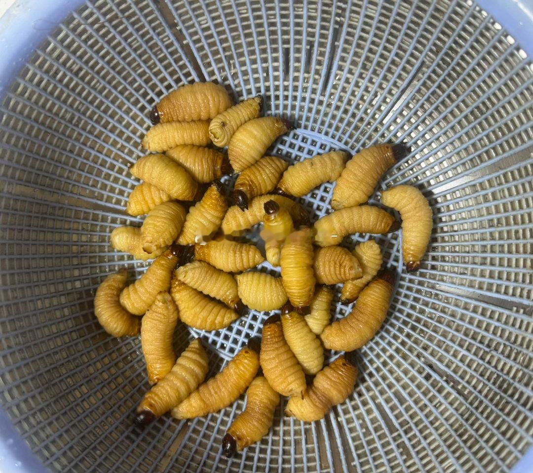 今天是广东菜和东北菜的结合土豆🥔炖茄子🍆，竹虫，苹果瘦肉汤还有家乡的特产：竹