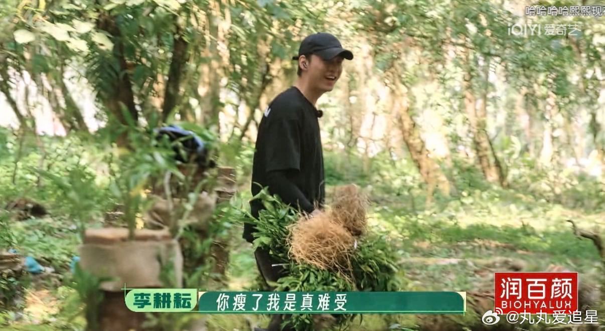 十个勤天不允许任何一个人减肥种地吧 沉浸在十个勤天的欢乐日常里无法自拔，李耕耘为