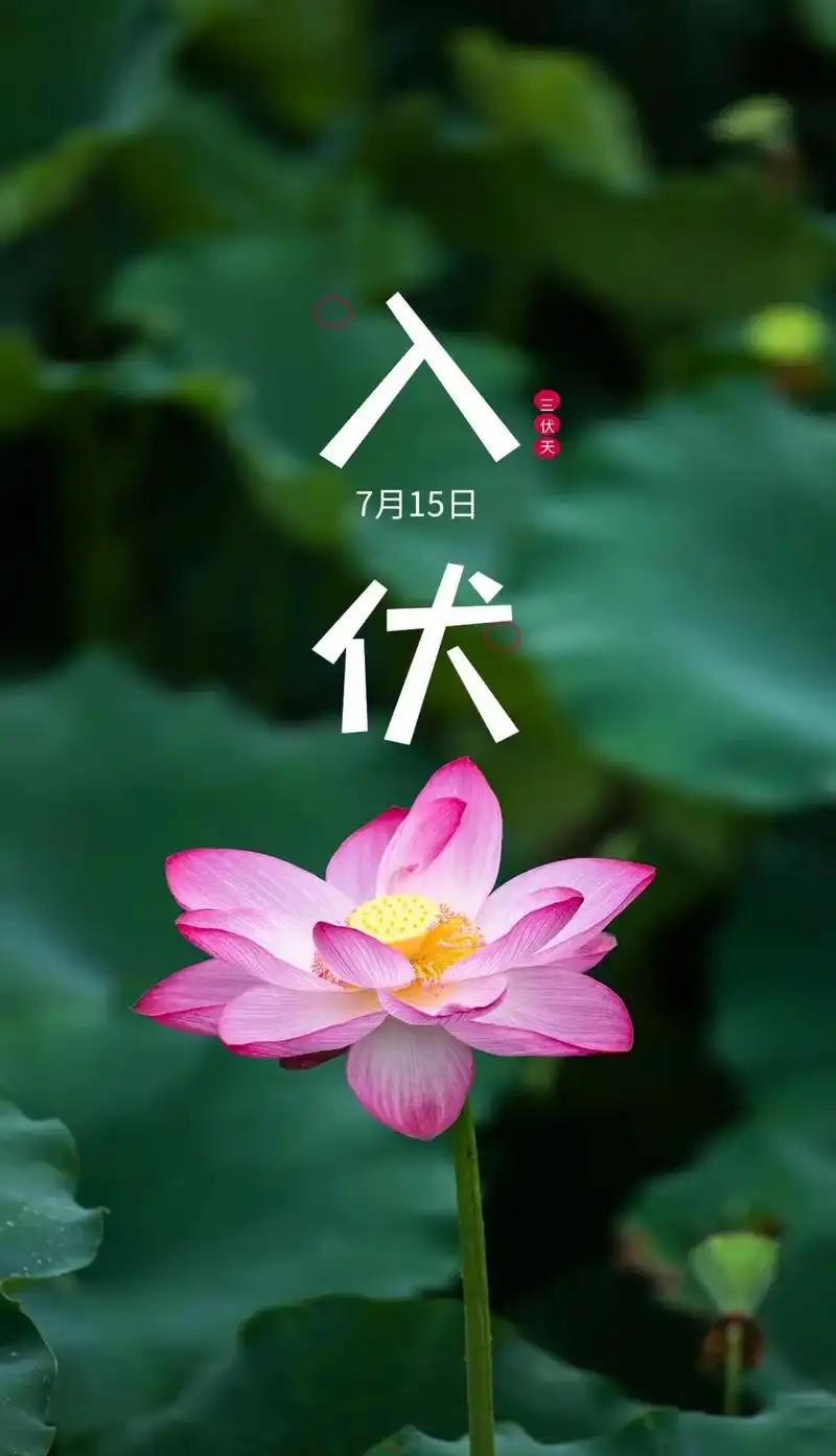 7月15日正式入伏，高温裹挟湿气，脾胃功能随之减弱，饮食务必遵循清补原则。

日
