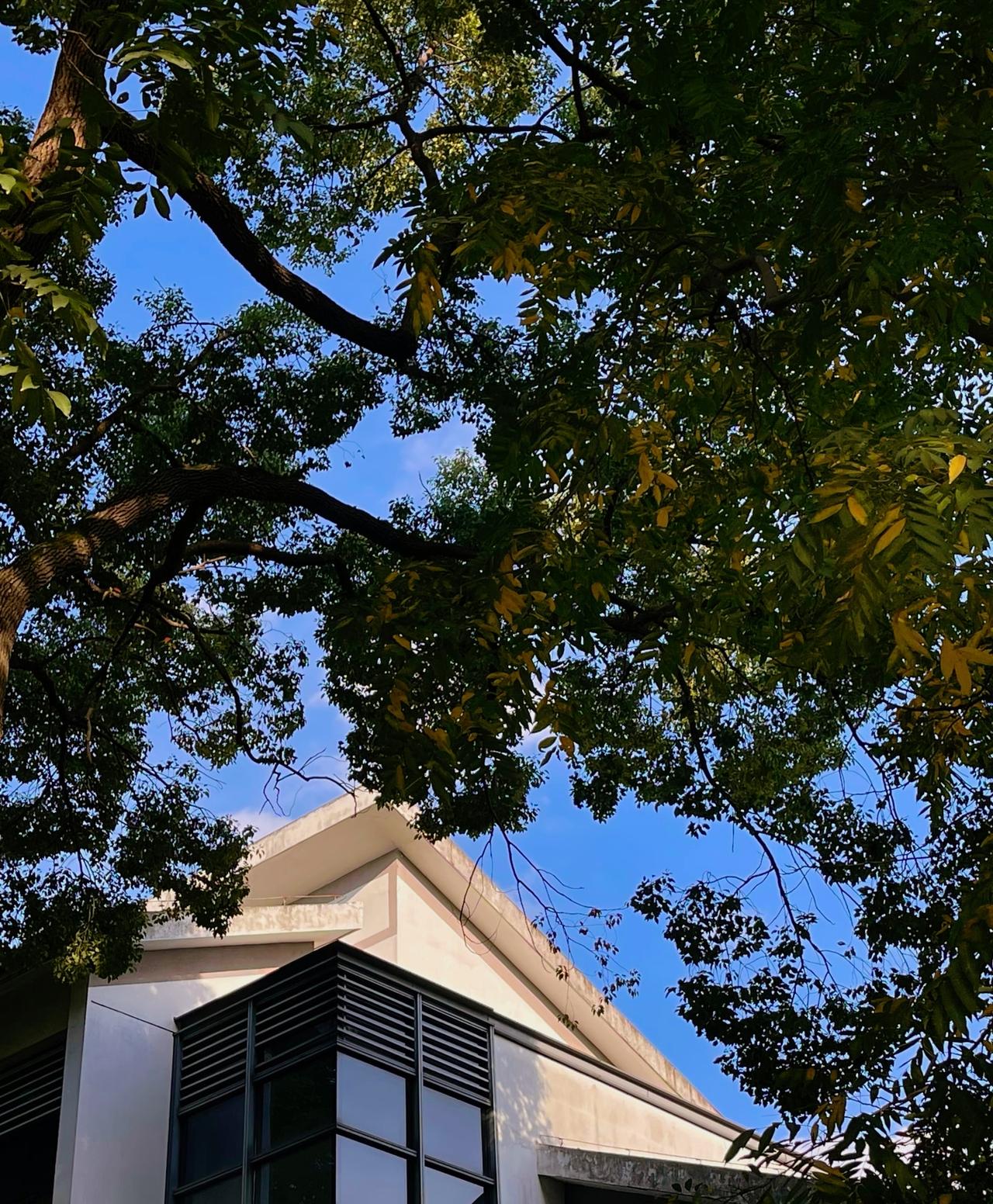 刘震云：）
生理性喜欢恐怖且上头。就是那种见了面心砰砰跳，不见面又老惦记着的感觉