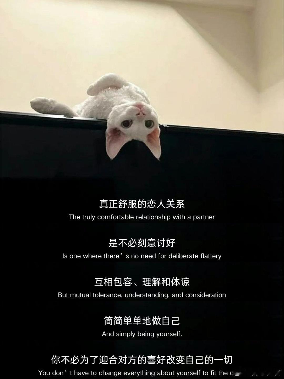 你不必为了迎合对方的喜好改变自己的一切，而是两颗心在同频的时刻。 