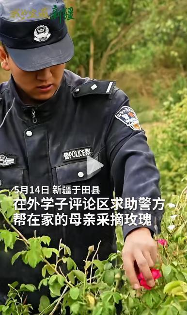 这才是我们最想看到的 "警民一家亲"！大学生远在外地求学，妈妈独自在家要摘 4 