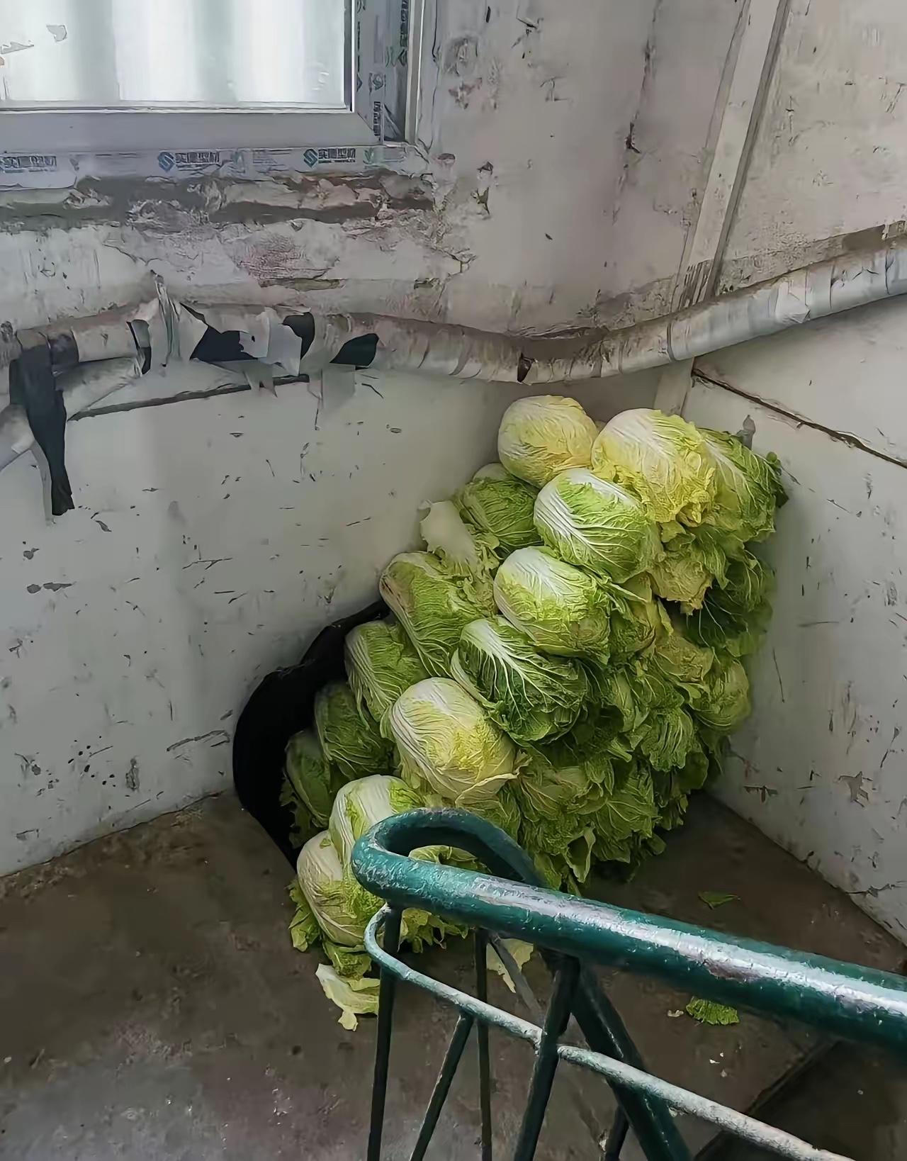 今天跟邻居吵起来了！我家囤了几十颗大白菜，放楼道靠墙边，根本没碍着别人。
中午邻