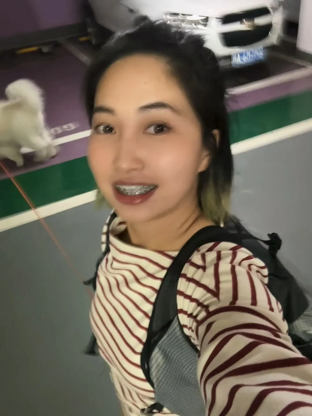 95后独居养狗人多少是有点大病的