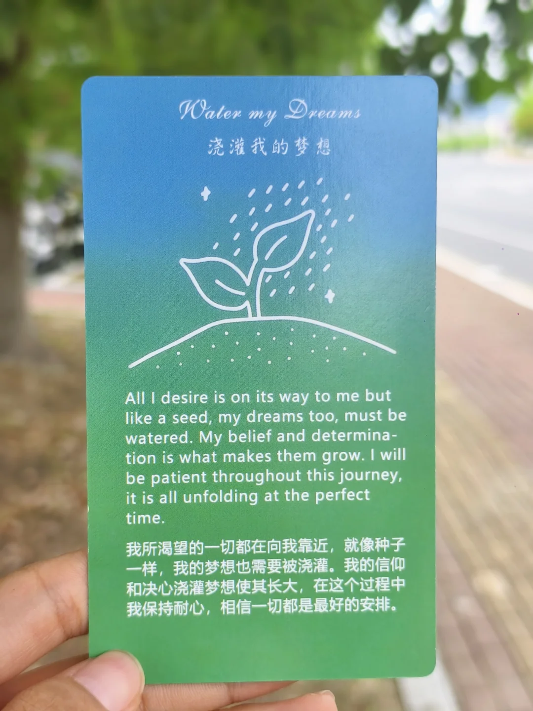 🪷让“理想的种子”发芽