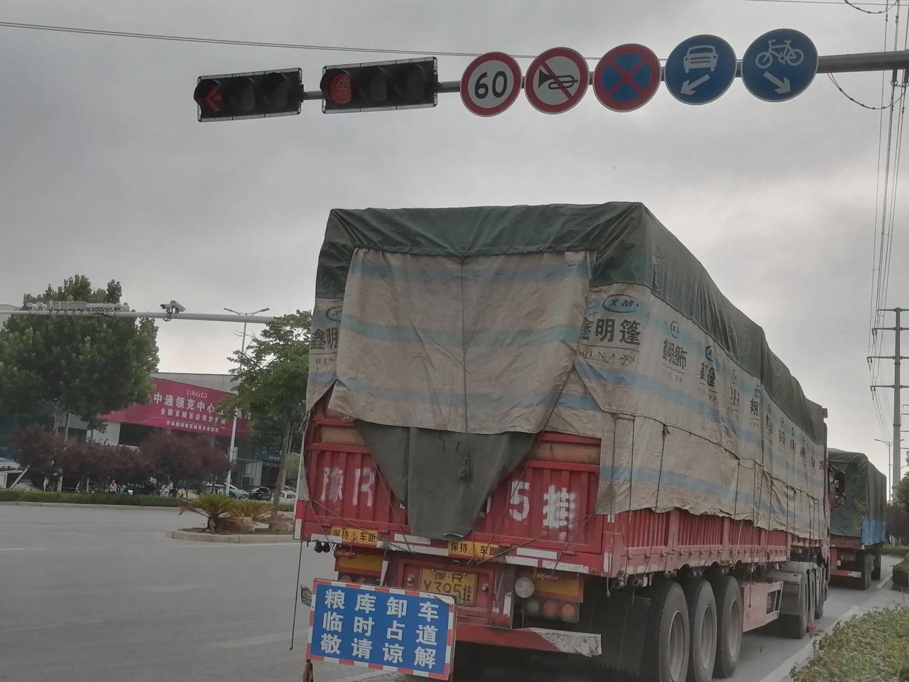 粮库卸车，临时占道，一长排拉小麦的大货车。