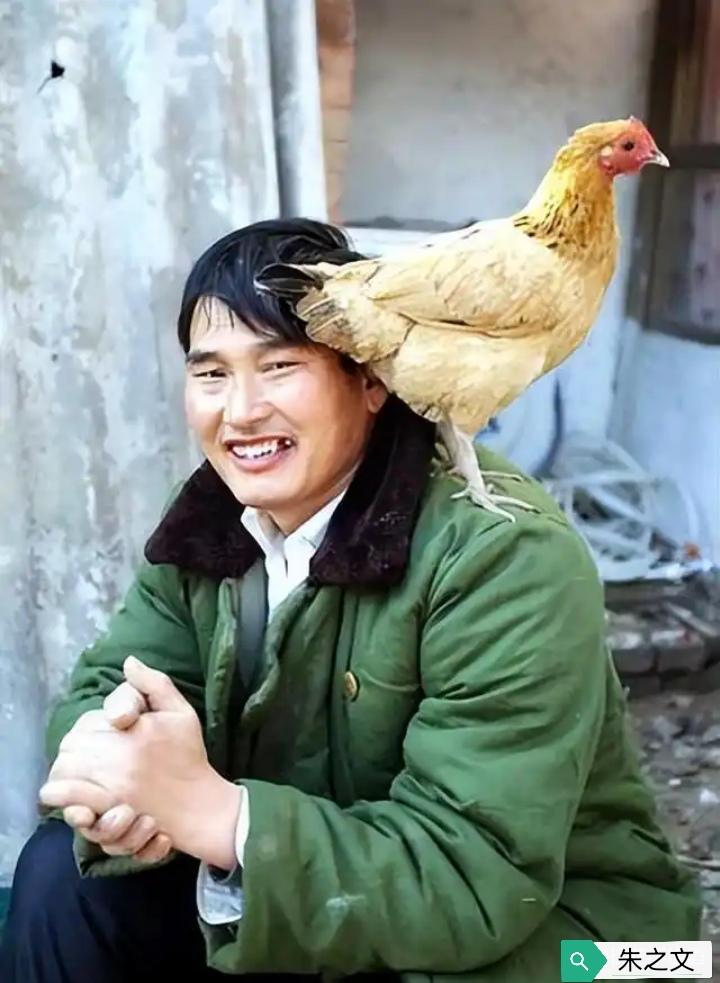 朱之文，真本色，不愧为“农民歌唱家”。不忘农村，不忘初心，这就是“大衣哥”的风范