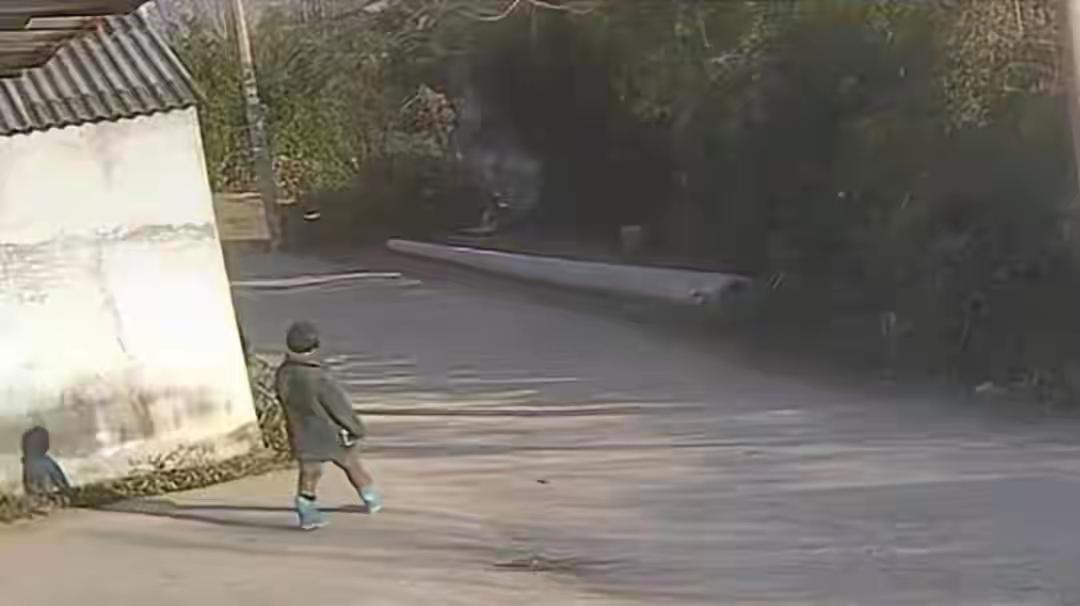 噩耗使奶奶无法接受！！
河南鲁山县8岁智力障碍女童耿子涵，随奶奶上坟走失化粪池遇