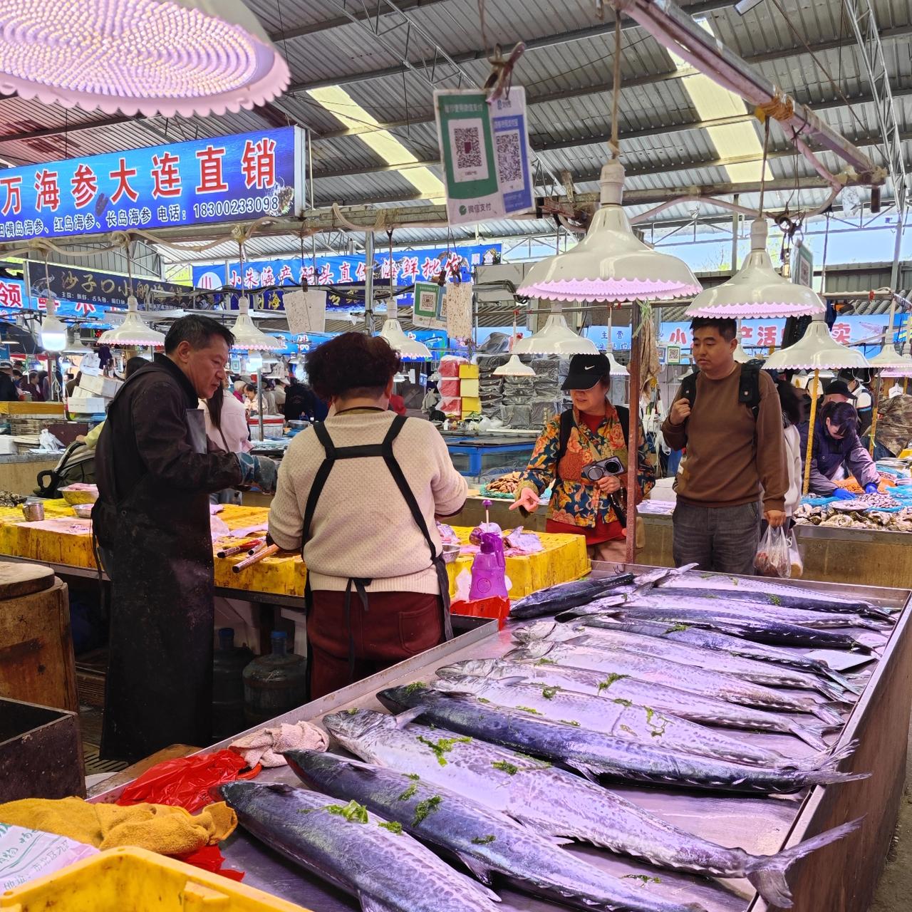 今天九江路海鲜市场上的大鲅鱼大都20块钱一斤，也有17块钱一斤的，不过极少极少。