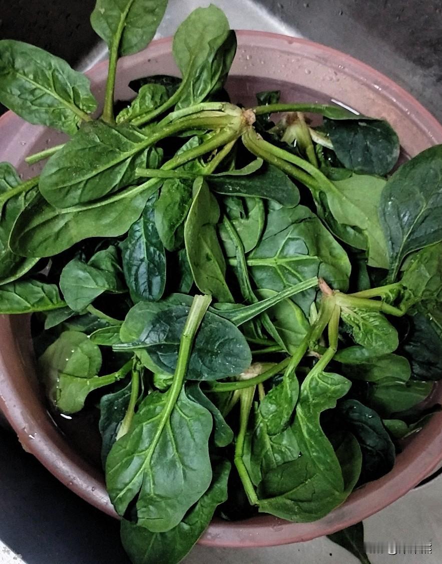 我想在腊月二十四四大扫除，奈何公司没放假。
下班了我收拾一下吧，下班了我又想去逛