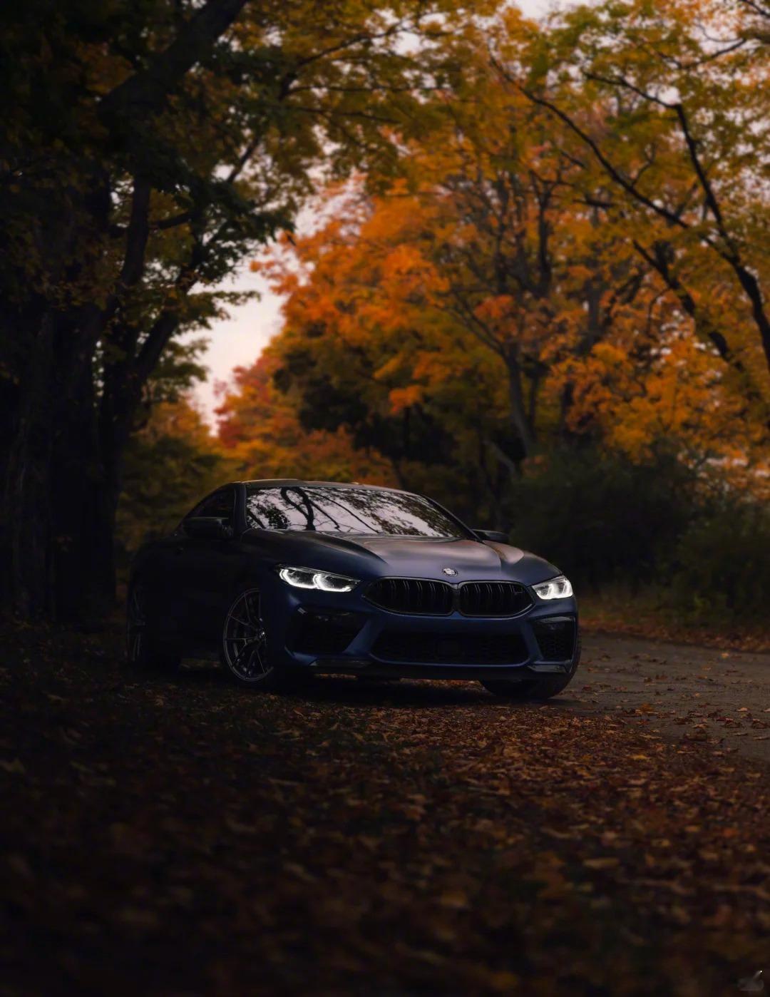 秋日、落叶和磨砂蓝的M8可太配了[流鼻血] ​​​