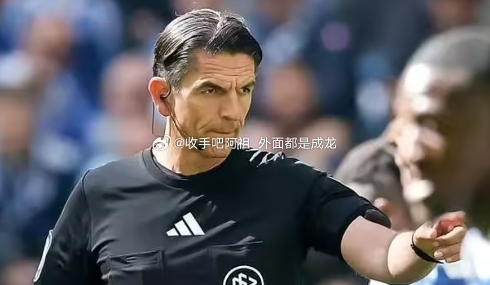 据《每日体育报》报道，德国足坛上周末送别了最具知名度的裁判之一-丹尼斯·艾特金。