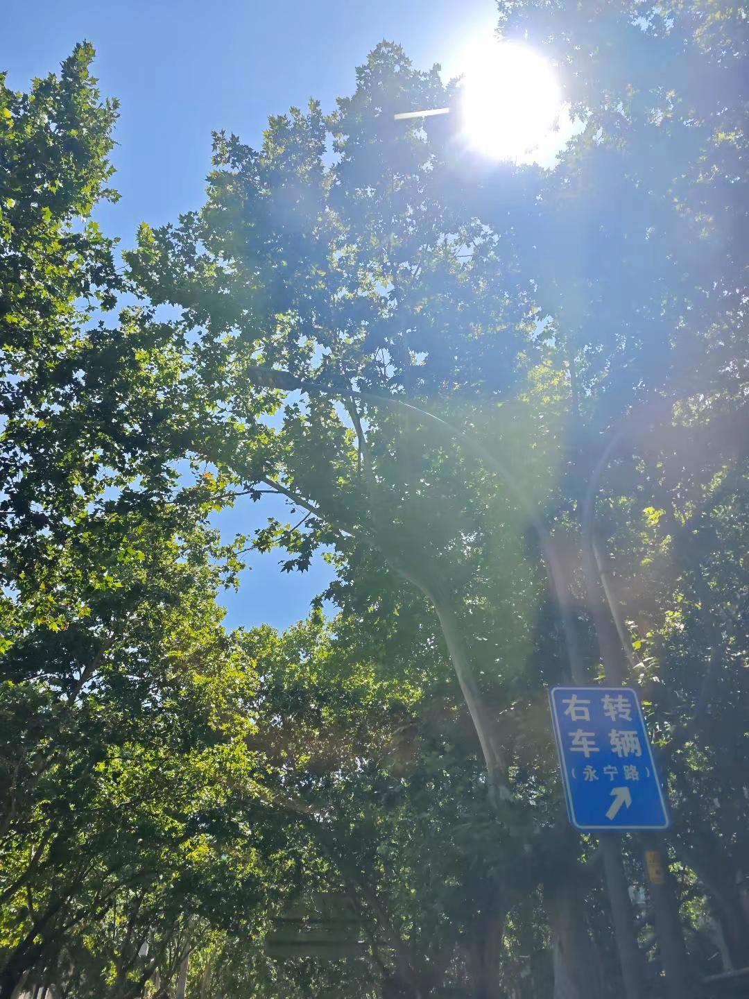 玩法合伙人计划 独白玩法训练营