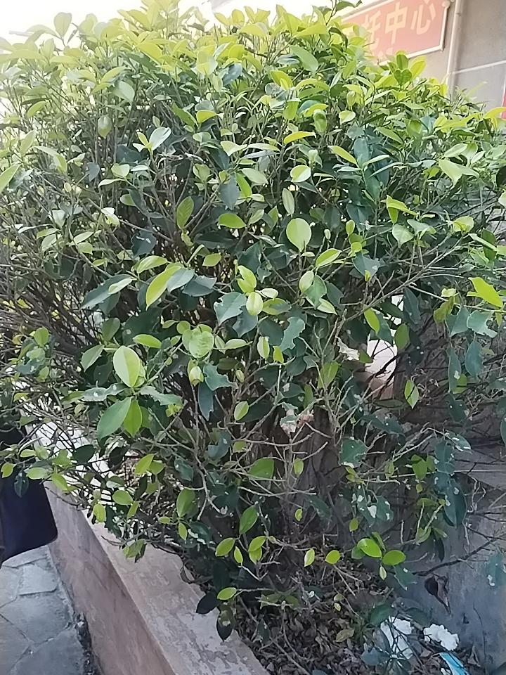 除了健康，那就是亲情了。钱没了可以再挣，朋友散了可以再交，唯独血浓于水的亲情，错