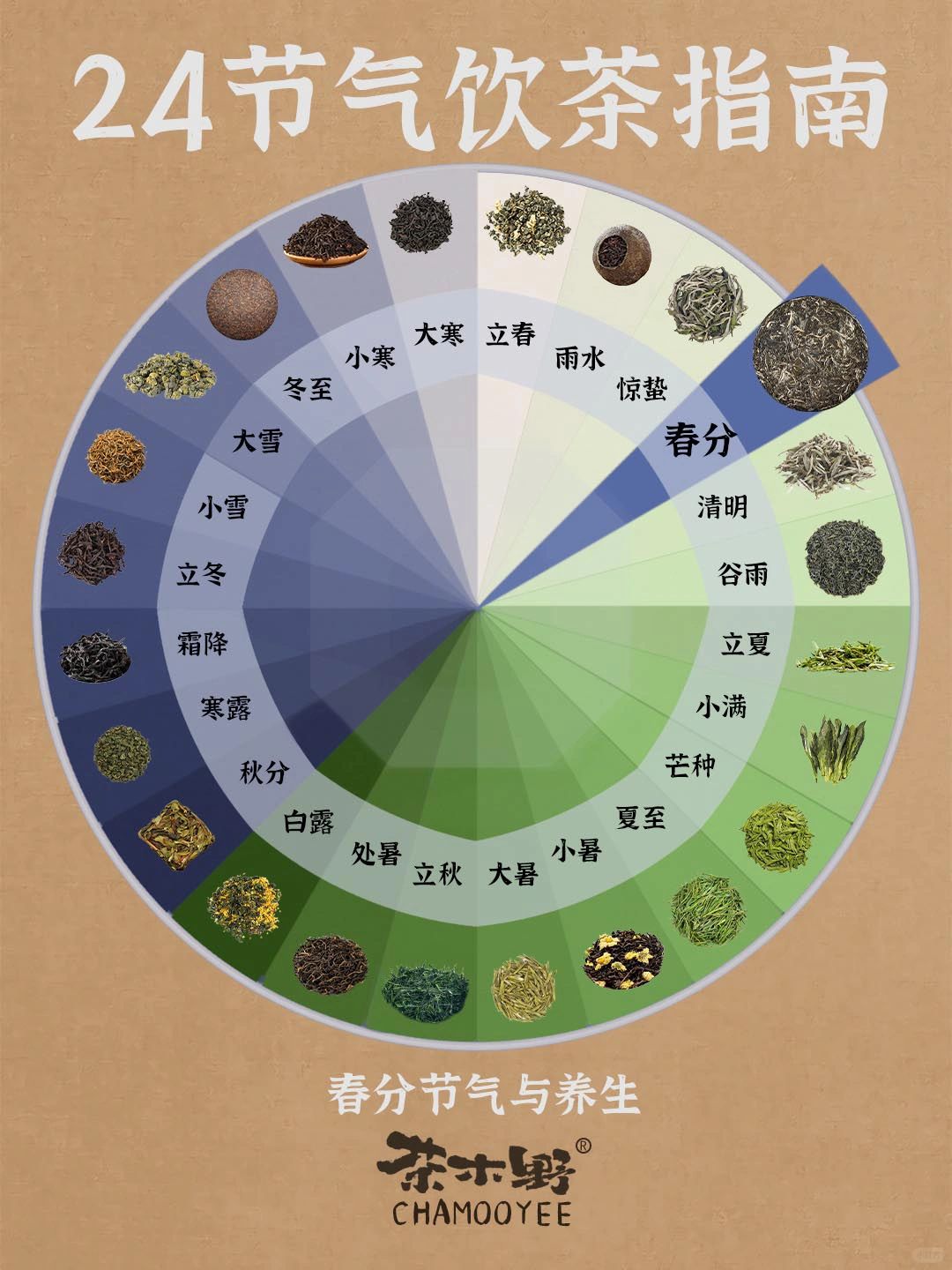 节气与养生｜24节气饮茶指南🔥春分喝对茶