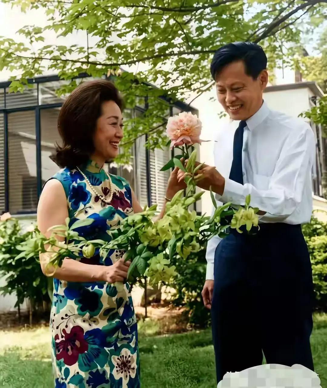 1966年夏天，美国普林斯顿大学附近杨振宁与夫人杜致礼的住宅小院。两人正并肩欣赏