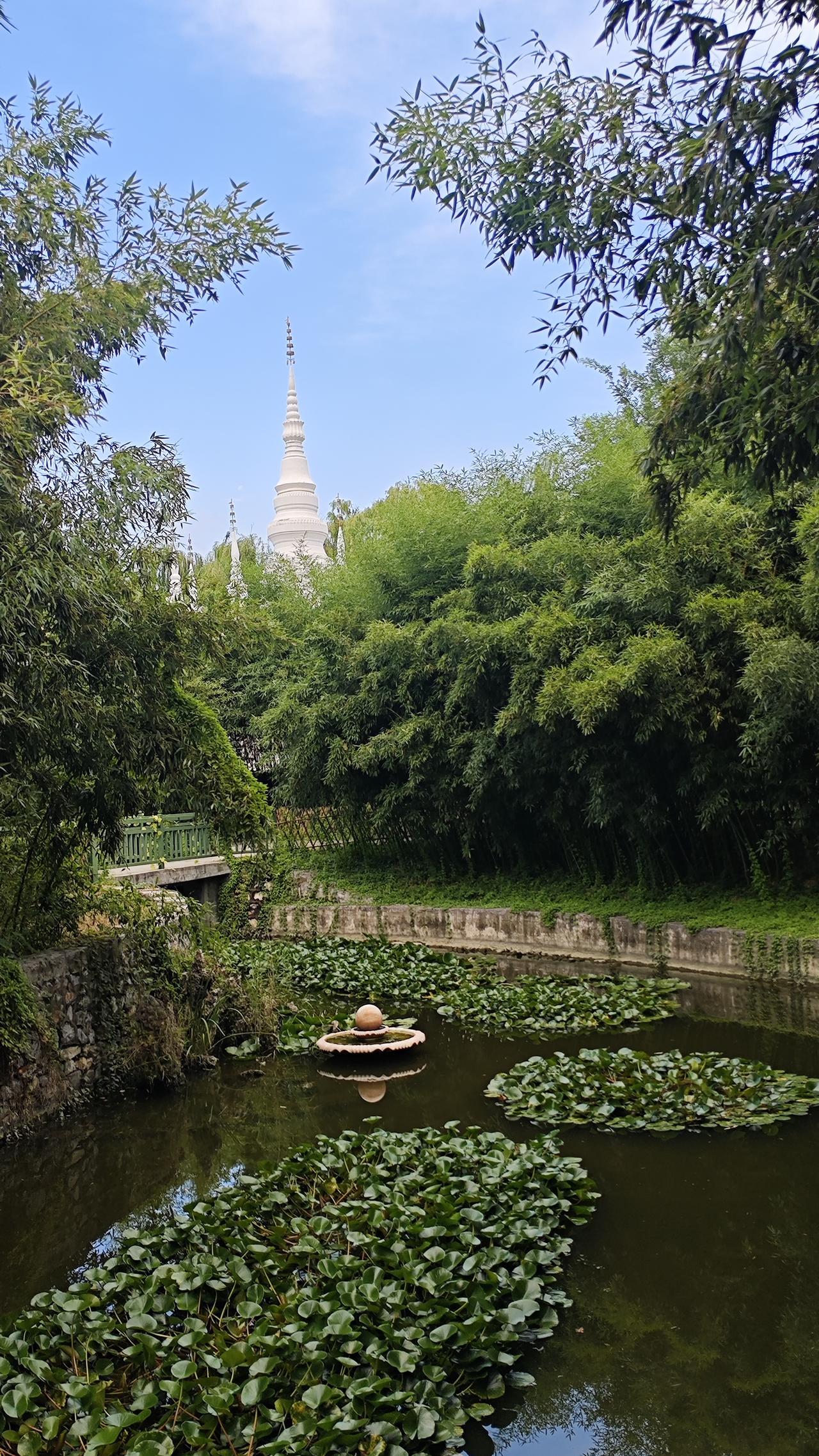 我经历过各种各样的困难和挫折的时候，
我终于明白没人折磨你，消耗你，
消耗你的实