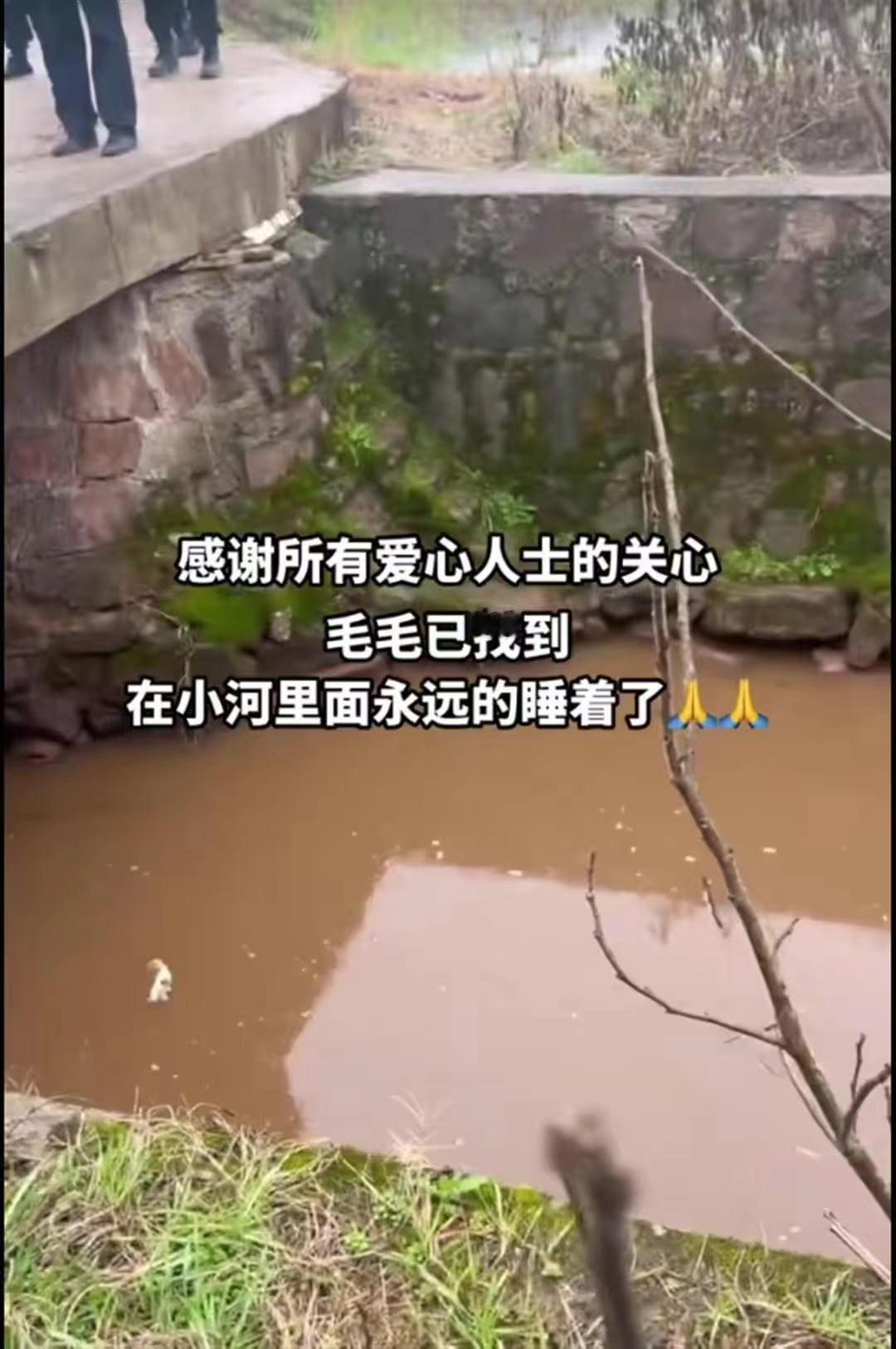 痛心！两岁男童回老家仅三天就失踪，遗体在家门口河中发现
作为家长一定要看管好自己