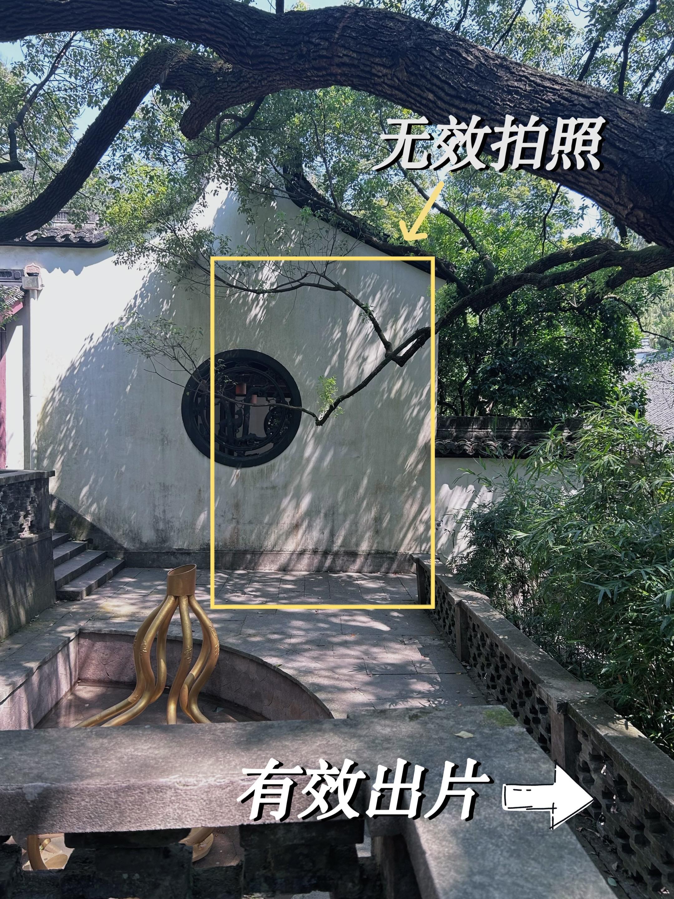 二次构图拯救废片｜无效拍照vs有效出片。本期分享的是古典夏日调色 调色...
