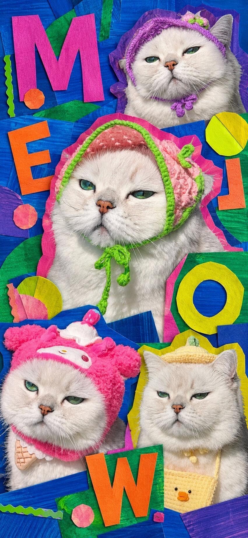 一只猫居然可以这么美 我喜欢绿宝石眼睛的小猫咪 