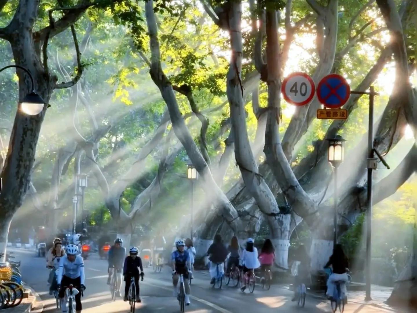 人总是把最好的东西糟蹋了之后 才去感慨人生若只如初见